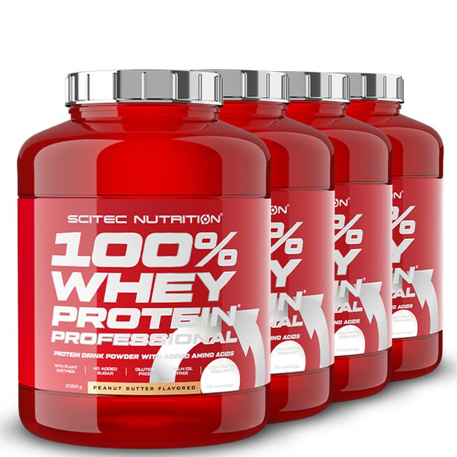 4 x 100% Whey Protein Professional, 2350 g, BIG BUY 