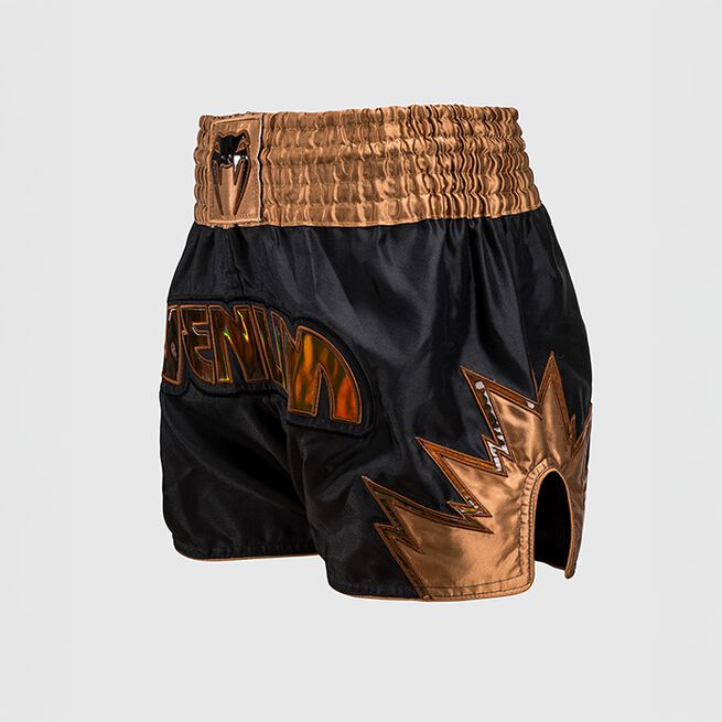 Inferno Muay Thai Shorts Svart Bronse