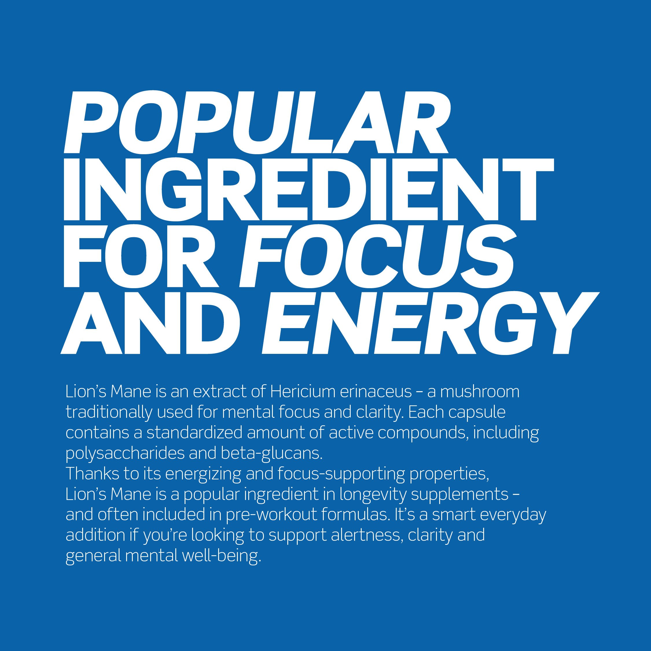 Lion's Mane 120 kapsler