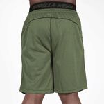 Mercury Mesh Shorts, Army Green/Black, L/XL 
