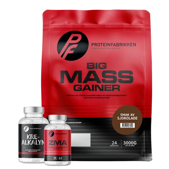 Big Mass Gainer, 3000 g + Bonusprodukt