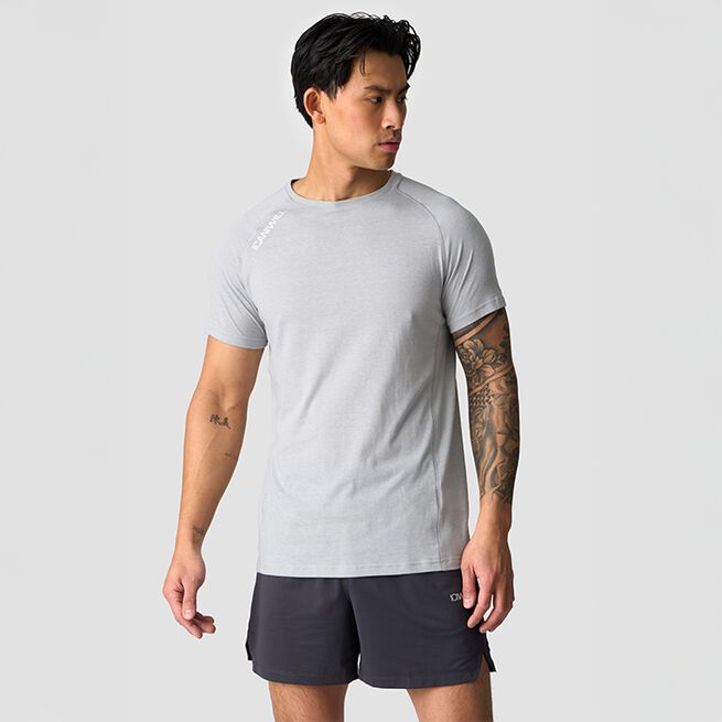 Tri-Blend Ren T-skjorte Grå