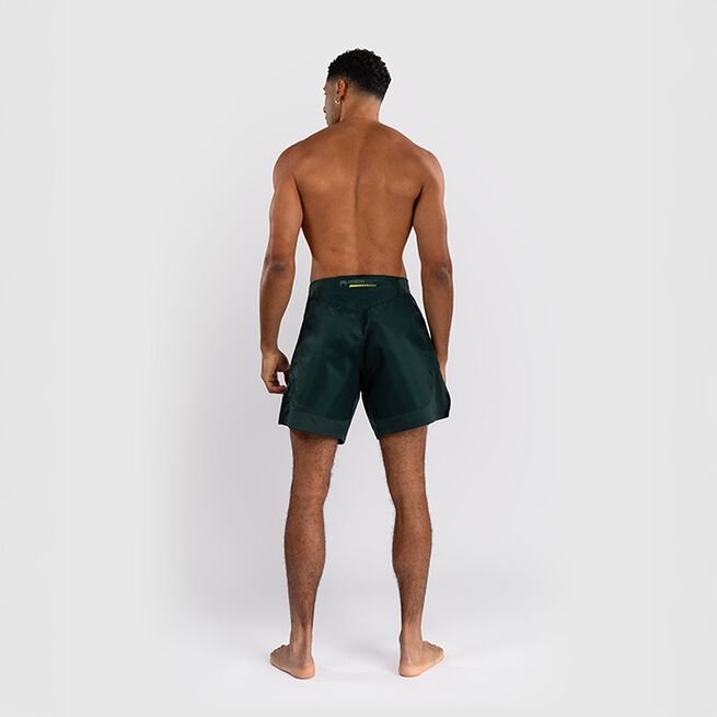 Technical 3.0 Fight Shorts Grønn