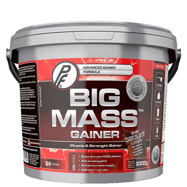 Big Mass Gainer 3000g