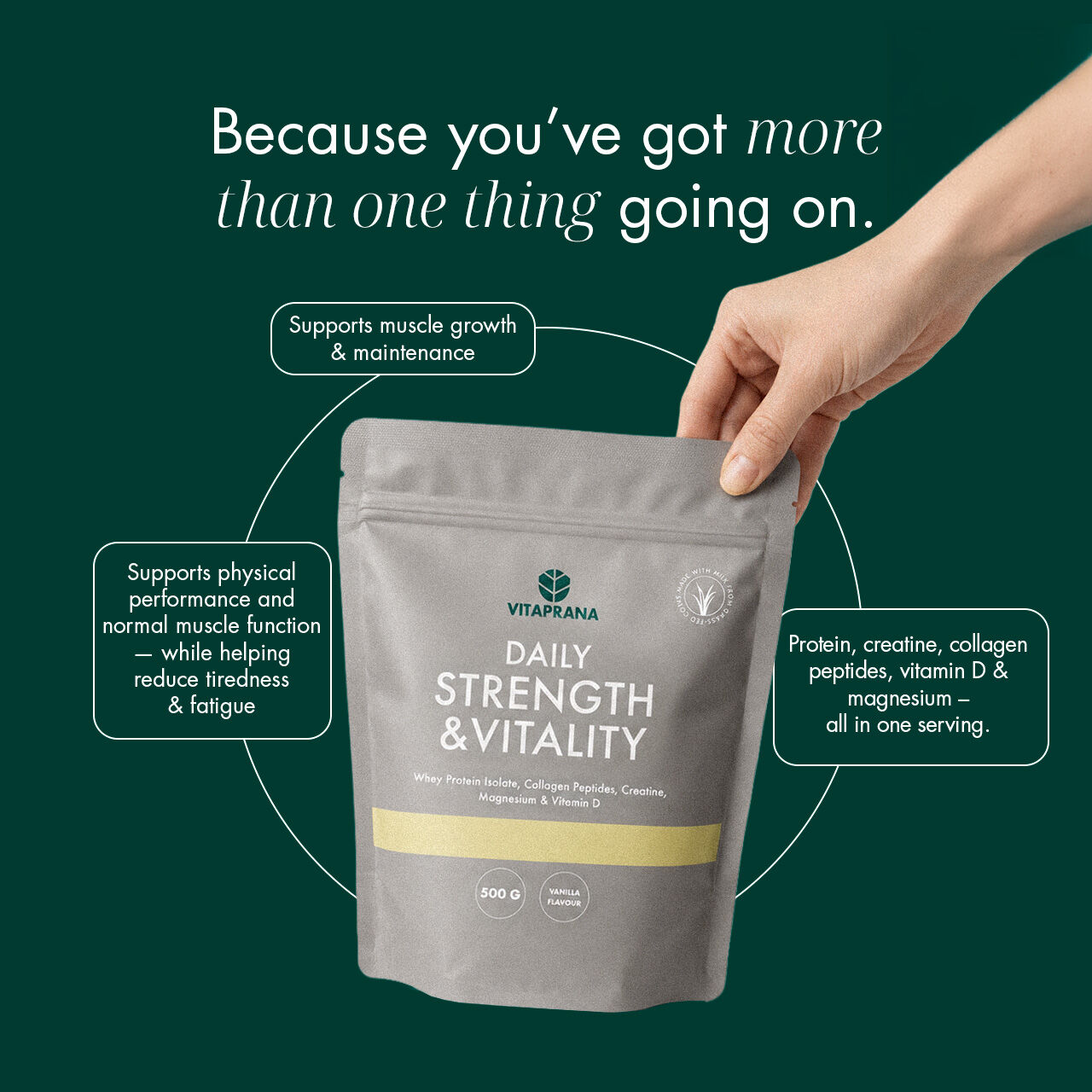 Daily Strength and vitality 500 g Proteinpulver