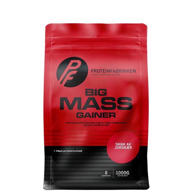 Big Mass Gainer, 1000 g Jordbaer