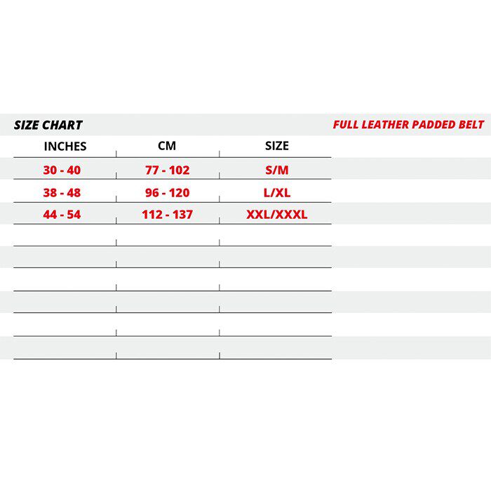 6 Inch polstret L&oslash;ftebelte L&aelig;r Svart/Gull