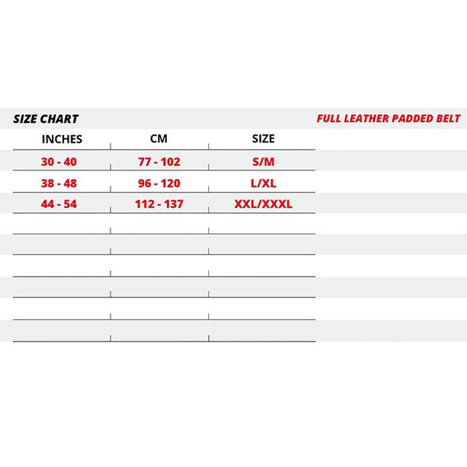 6 Inch polstret Løftebelte Lær Svart/Gull