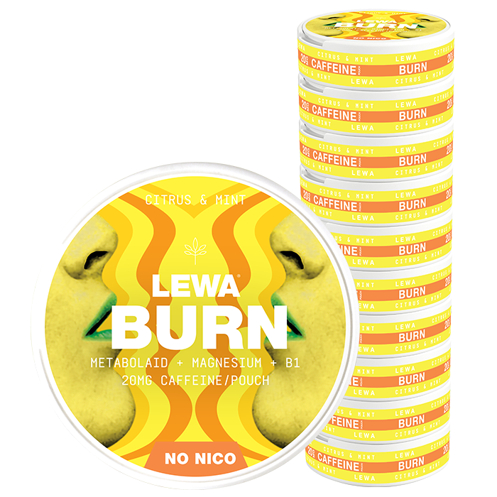 Functional NoNico Burn Nikotinfrie Porsjoner Citrus/Mynta 10 pakker BURN Citrus/Mint