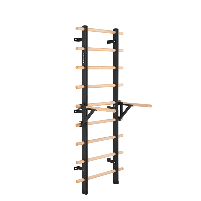 Premium WallBar Dips Handl